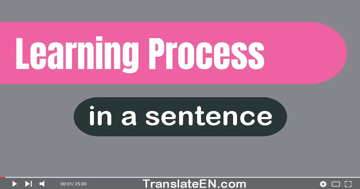 Use "learning process" in a sentence | "learning process" sentence examples