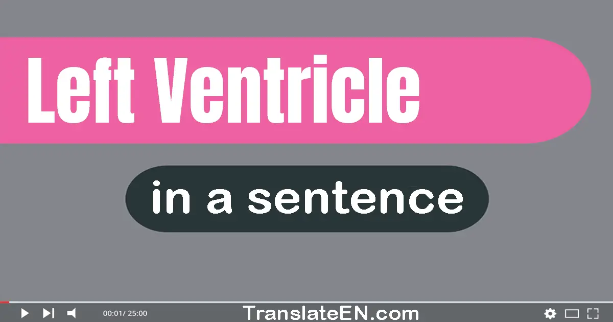 Left Ventricle in a sentence