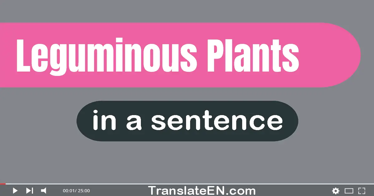 Use "leguminous plants" in a sentence | "leguminous plants" sentence examples