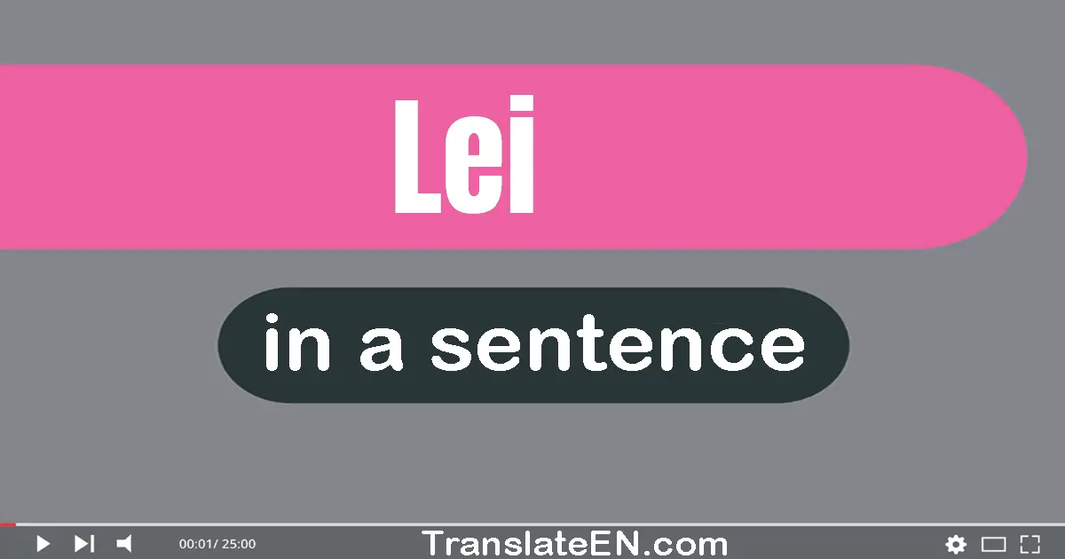 Use "lei" in a sentence | "lei" sentence examples
