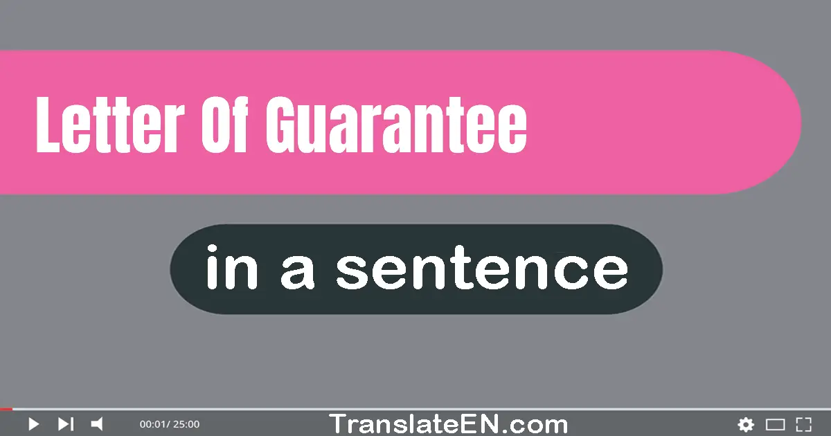 Letter Of Guarantee in a sentence