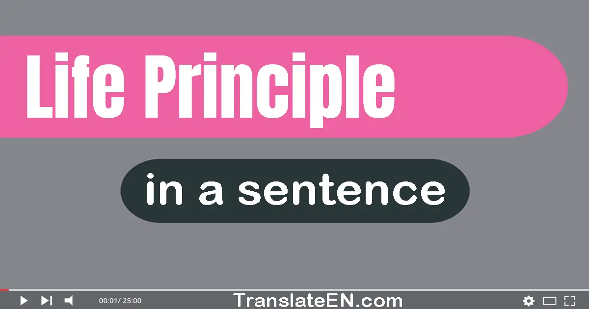 Use "life principle" in a sentence | "life principle" sentence examples