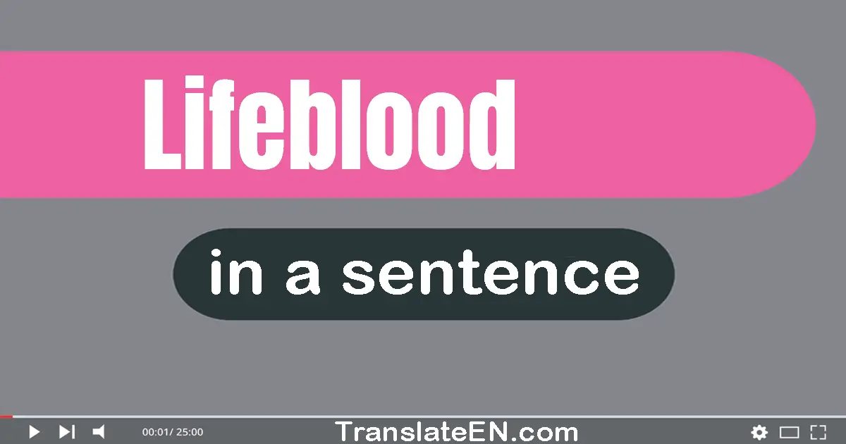 Use "lifeblood" in a sentence | "lifeblood" sentence examples