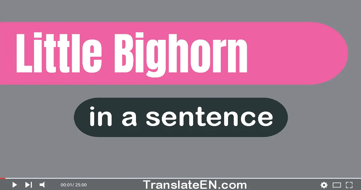 Little Bighorn in a sentence