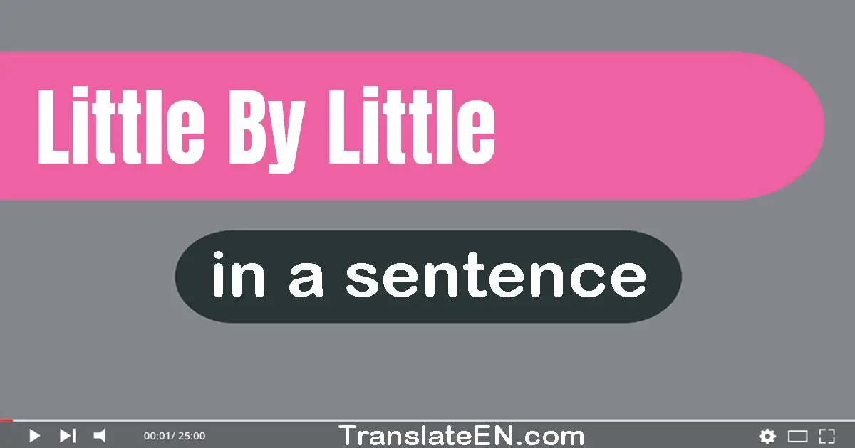 Little By Little in a sentence