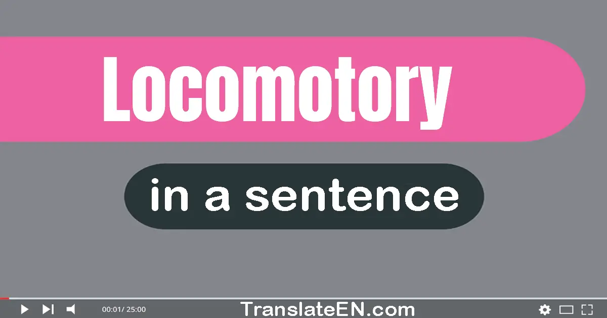 Use "locomotory" in a sentence | "locomotory" sentence examples