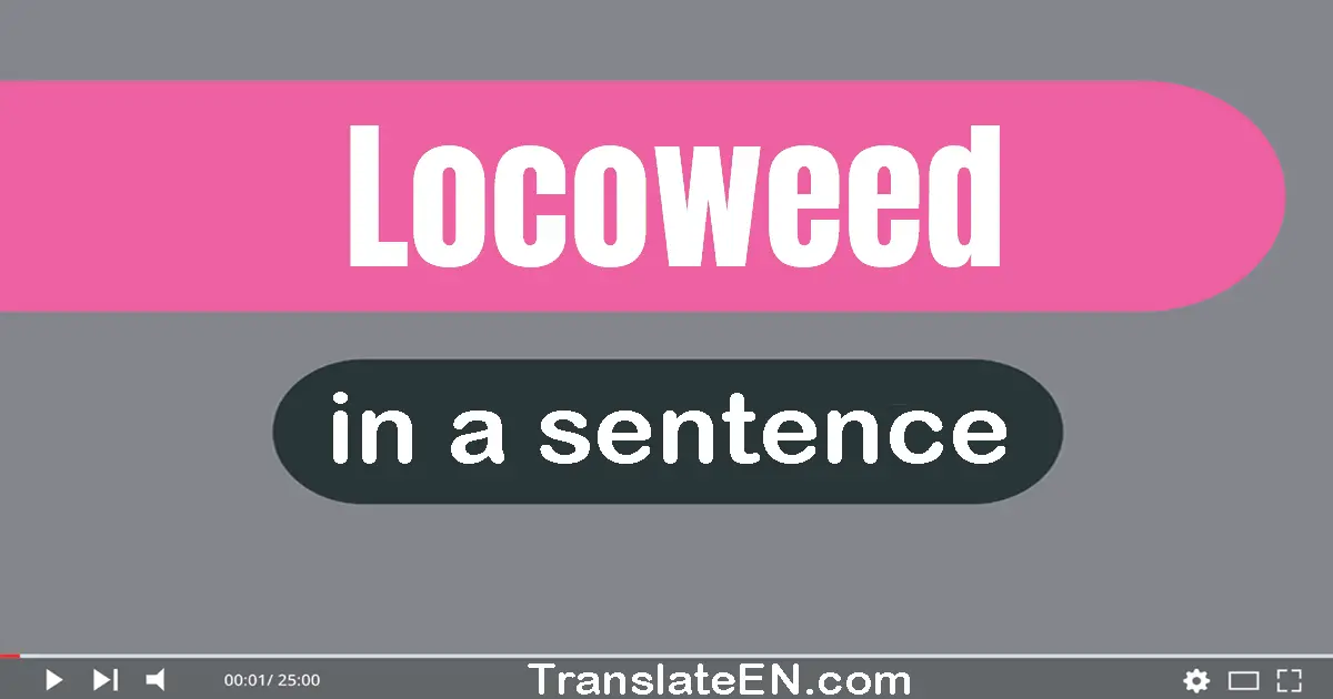 Use "locoweed" in a sentence | "locoweed" sentence examples