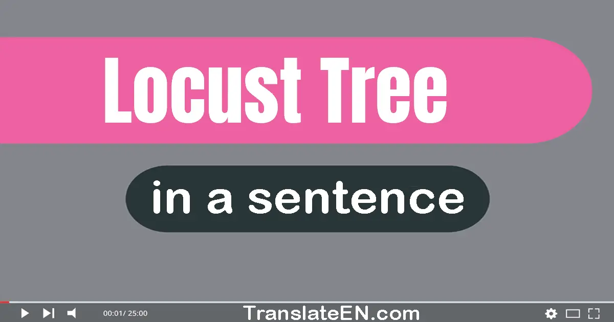 Use "locust tree" in a sentence | "locust tree" sentence examples