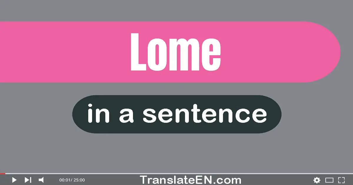 Use "lome" in a sentence | "lome" sentence examples
