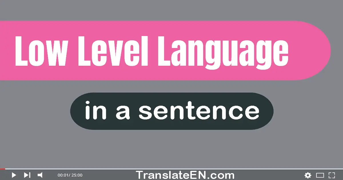 Low-level Language in a sentence