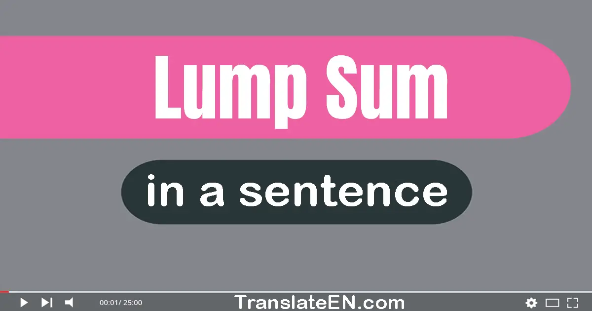 Lump Sum in a sentence