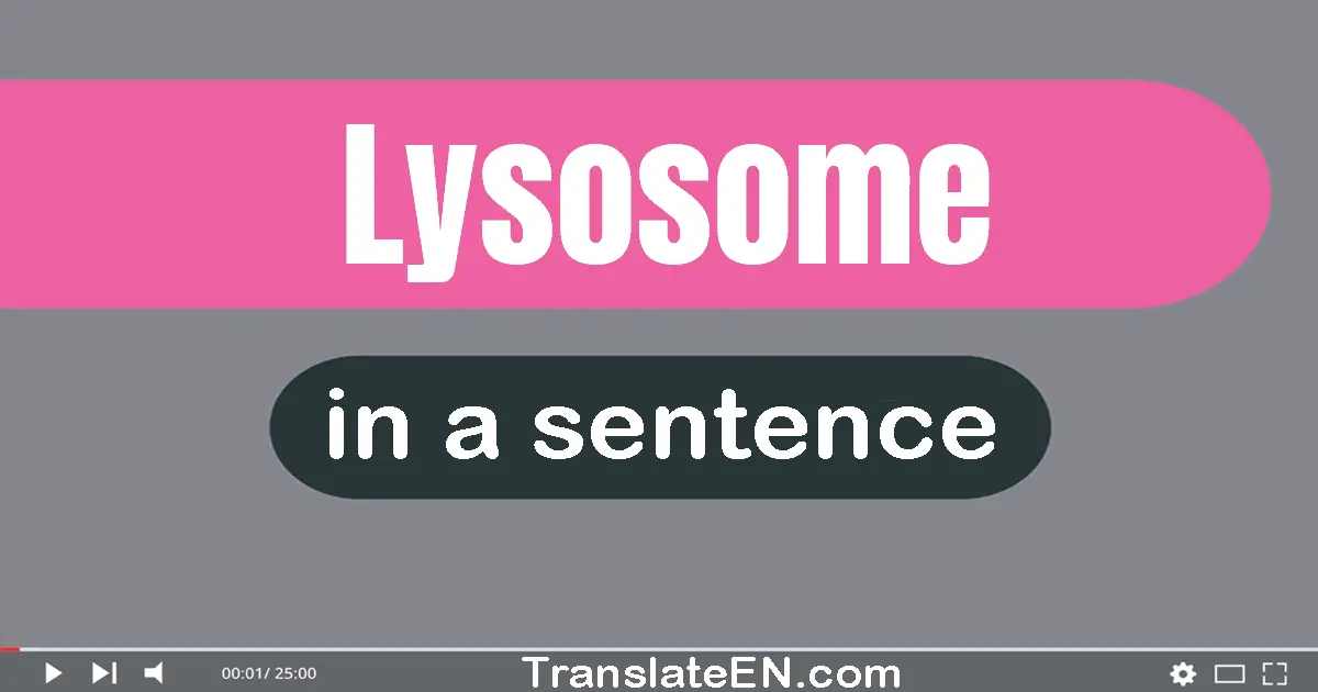 Lysosome in a sentence