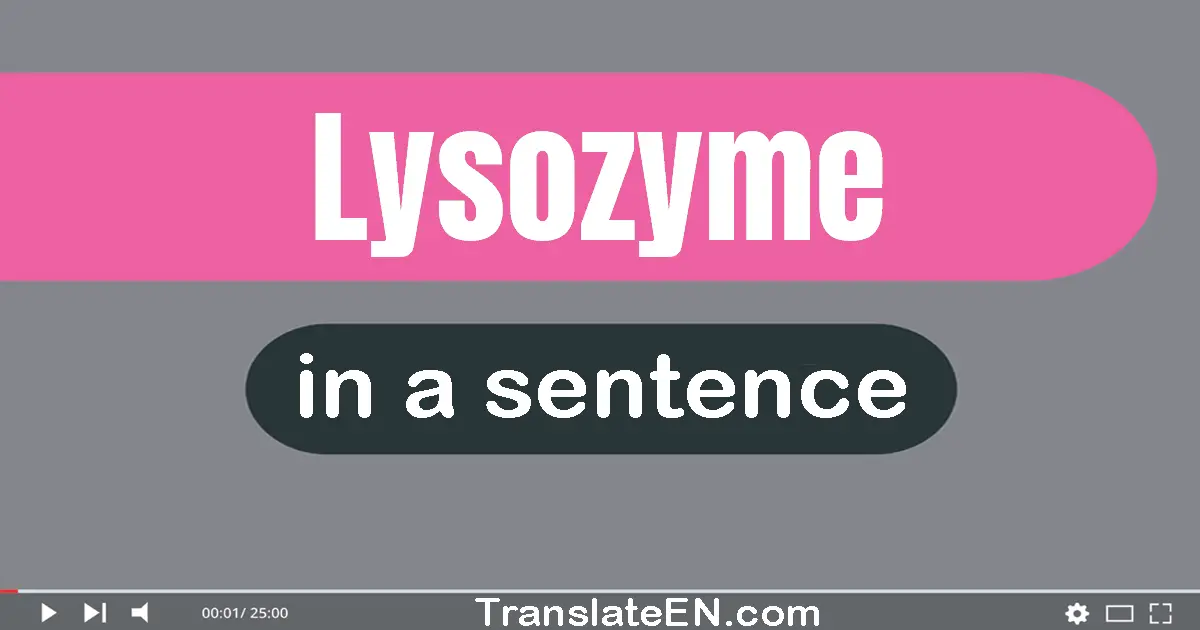 Lysozyme in a sentence