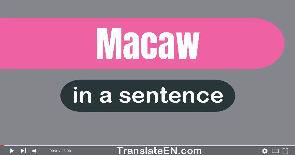 Macaw in a sentence