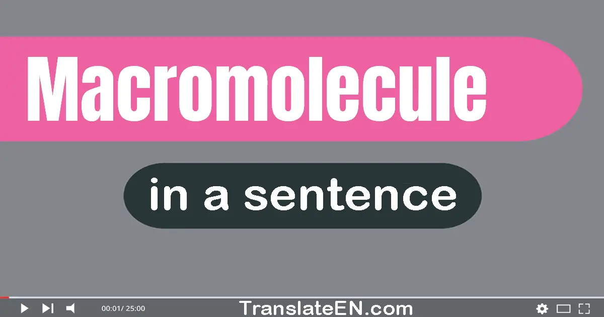 Macromolecule in a sentence