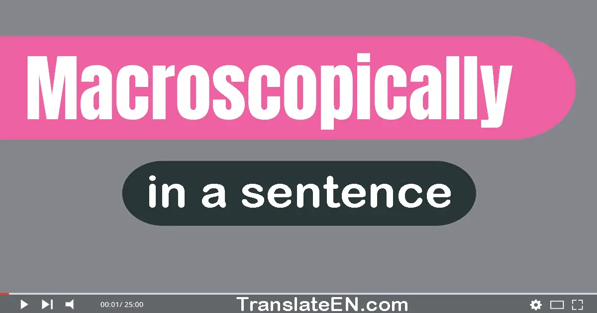 Macroscopically in a sentence