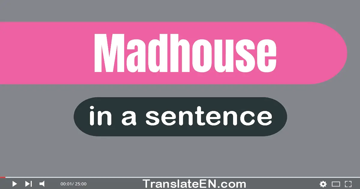 Madhouse in a sentence