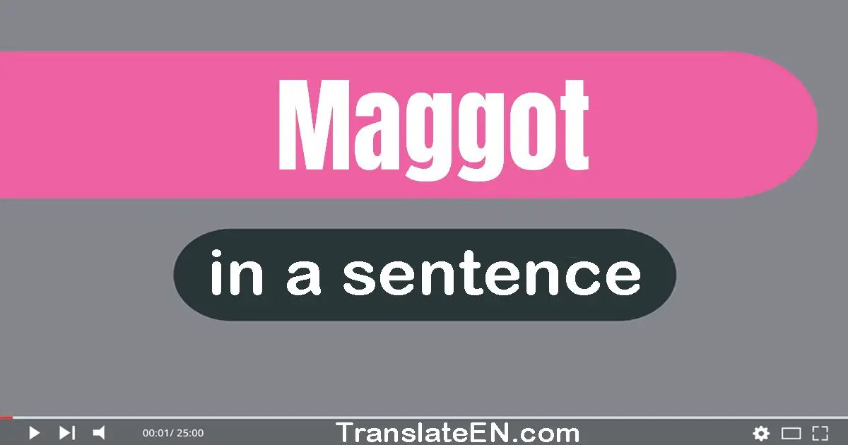 Use "maggot" in a sentence | "maggot" sentence examples