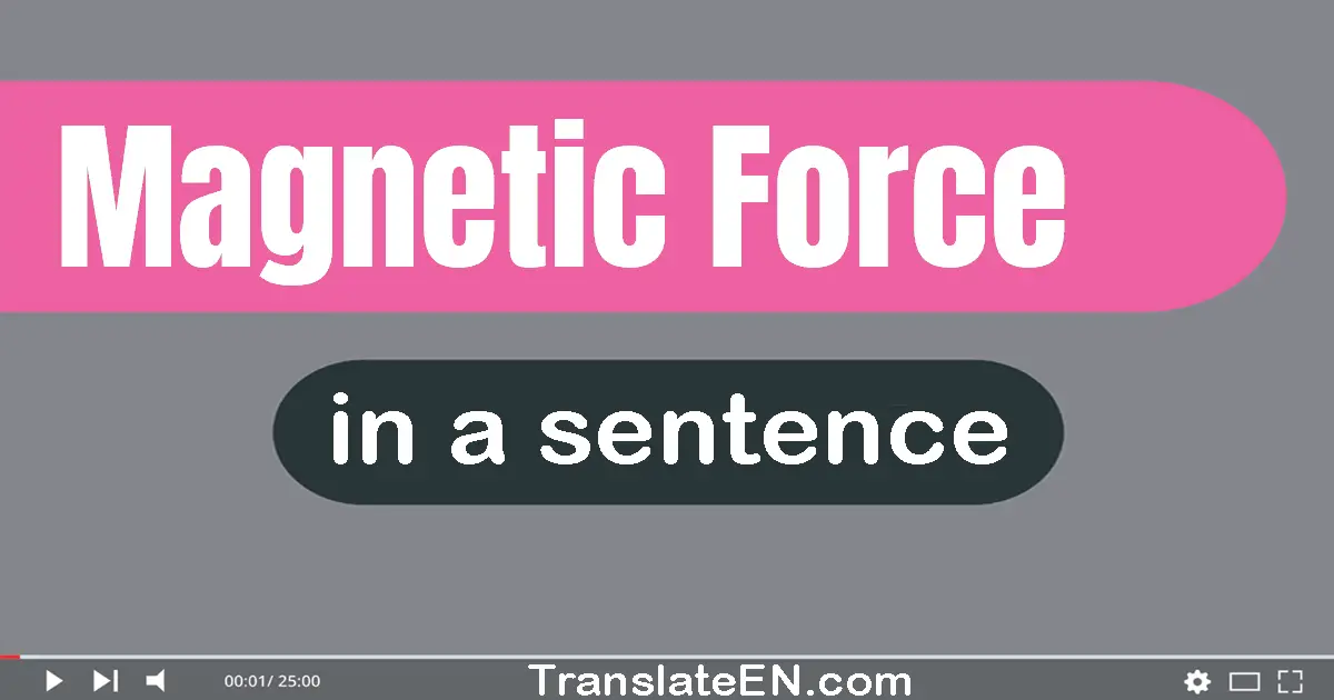 Use "magnetic force" in a sentence | "magnetic force" sentence examples