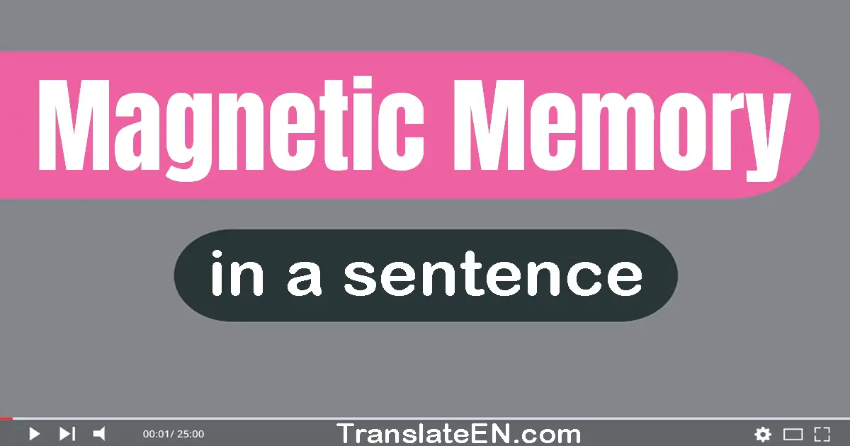 Magnetic Memory in a sentence