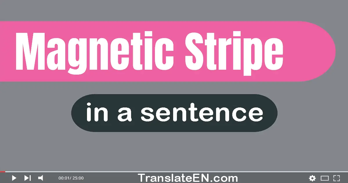 Magnetic Stripe in a sentence