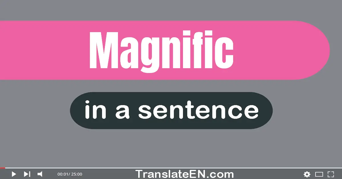 Magnific in a sentence