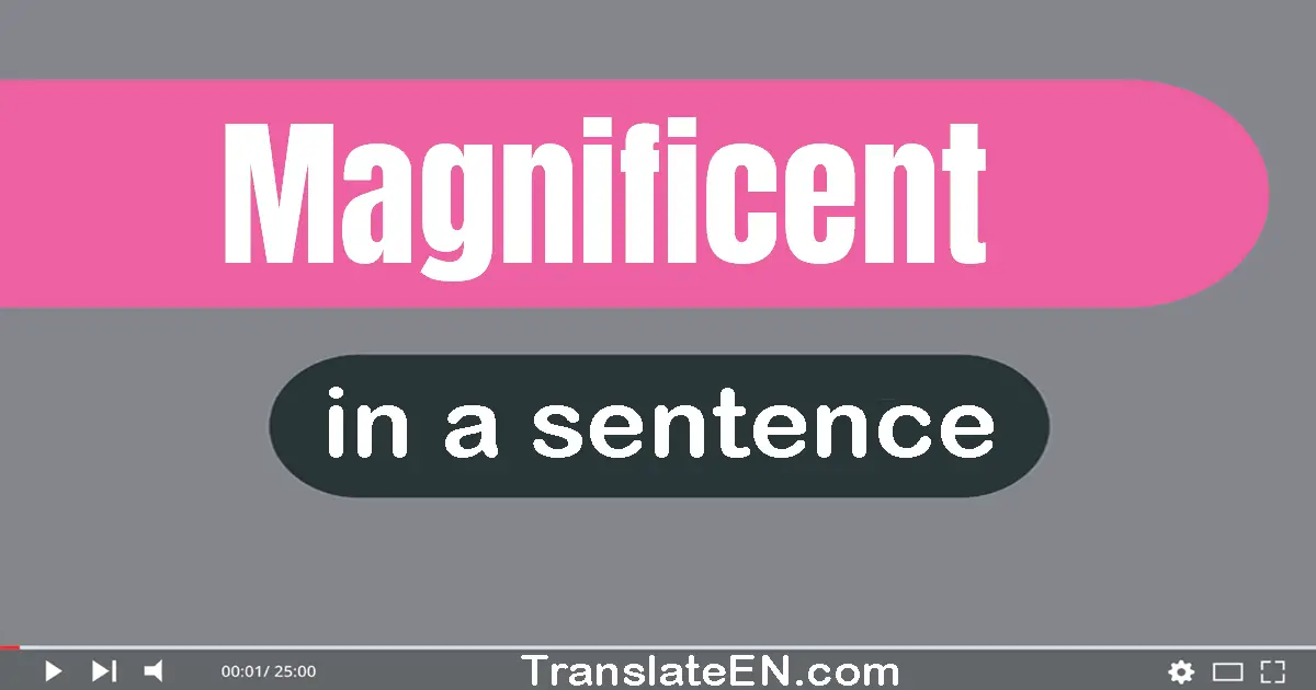 Use "magnificent" in a sentence | "magnificent" sentence examples