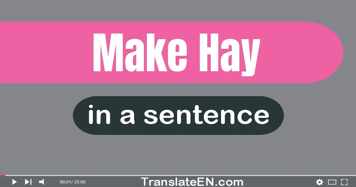 Use "make hay" in a sentence | "make hay" sentence examples