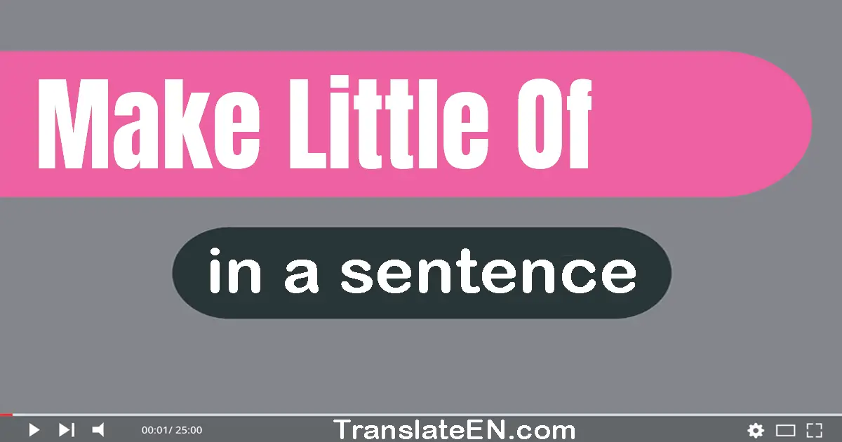 Make Little Of in a sentence