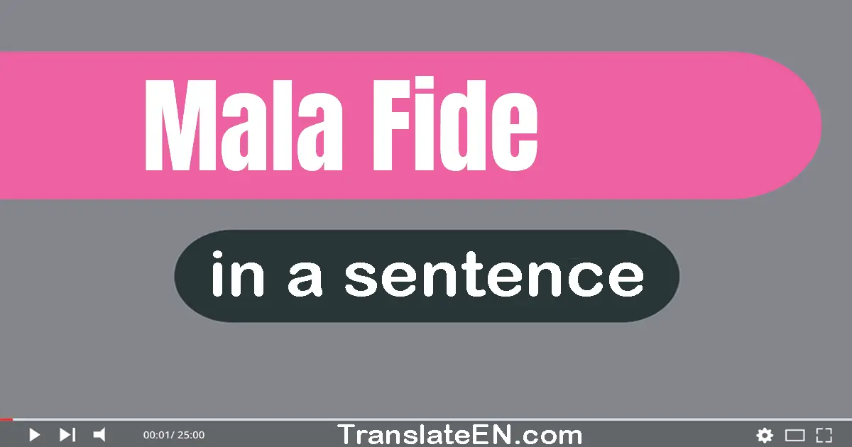 Use "mala fide" in a sentence | "mala fide" sentence examples