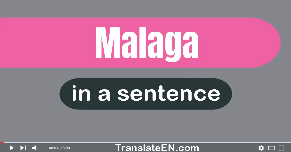 Use "malaga" in a sentence | "malaga" sentence examples