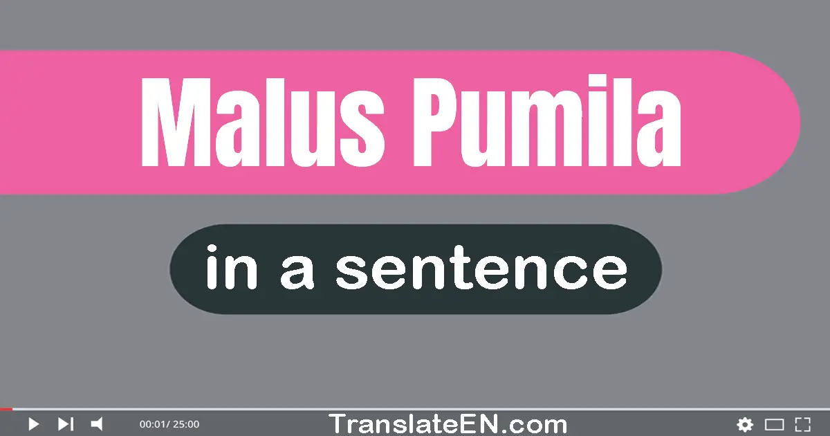 Malus Pumila in a sentence