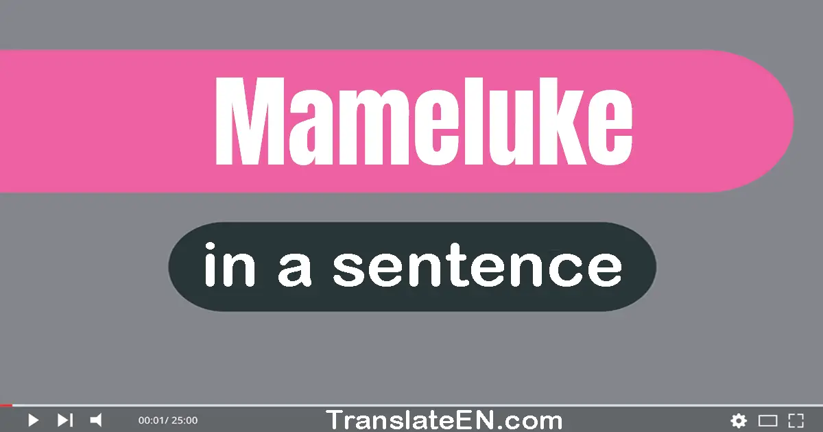 Mameluke in a sentence