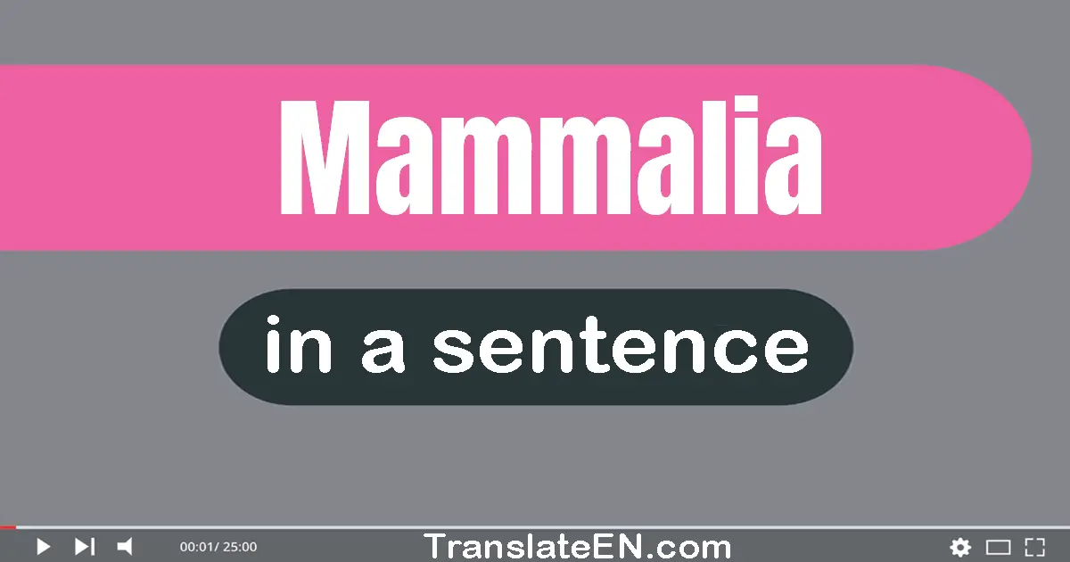 Mammalia in a sentence