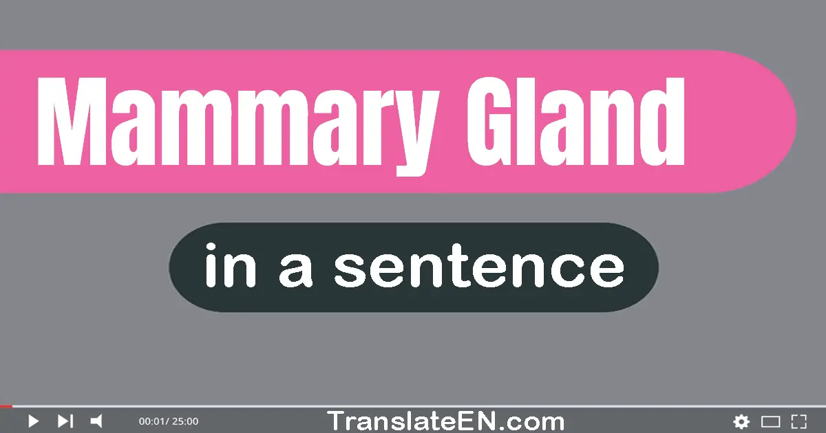 Mammary Gland in a sentence