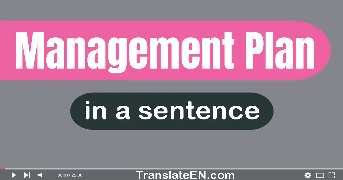 Use "management plan" in a sentence | "management plan" sentence examples