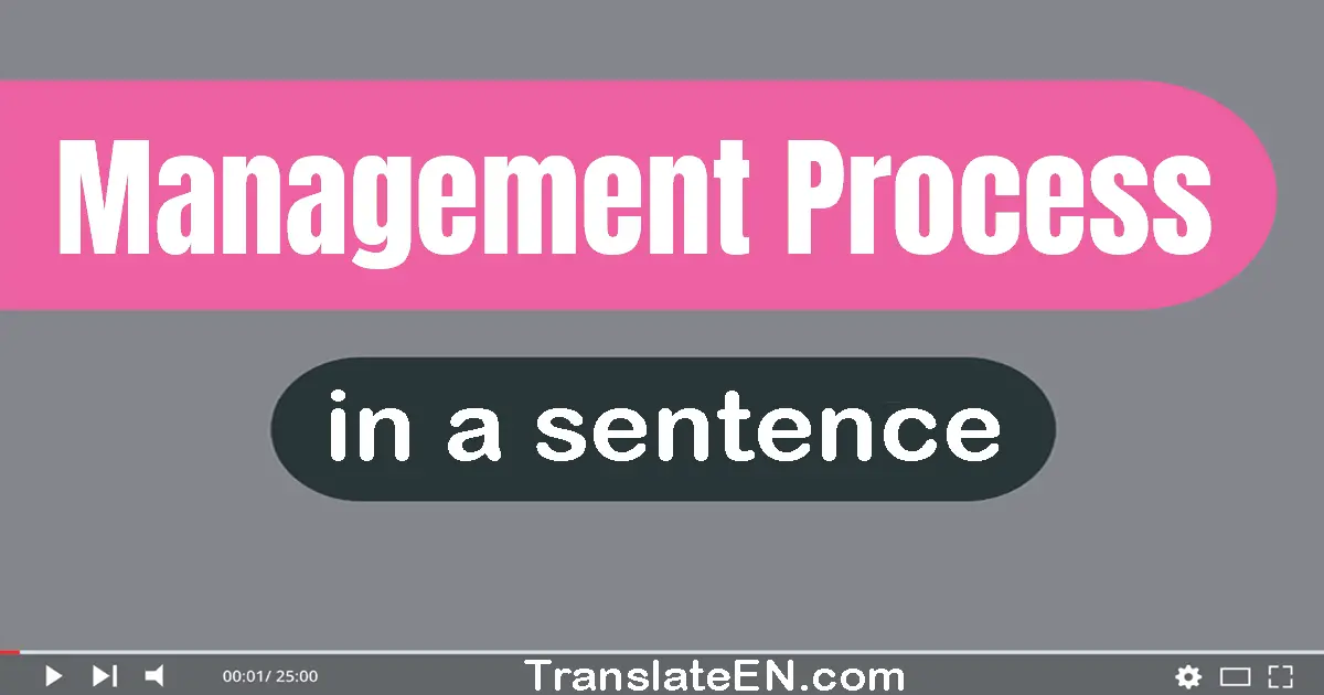 Management Process in a sentence