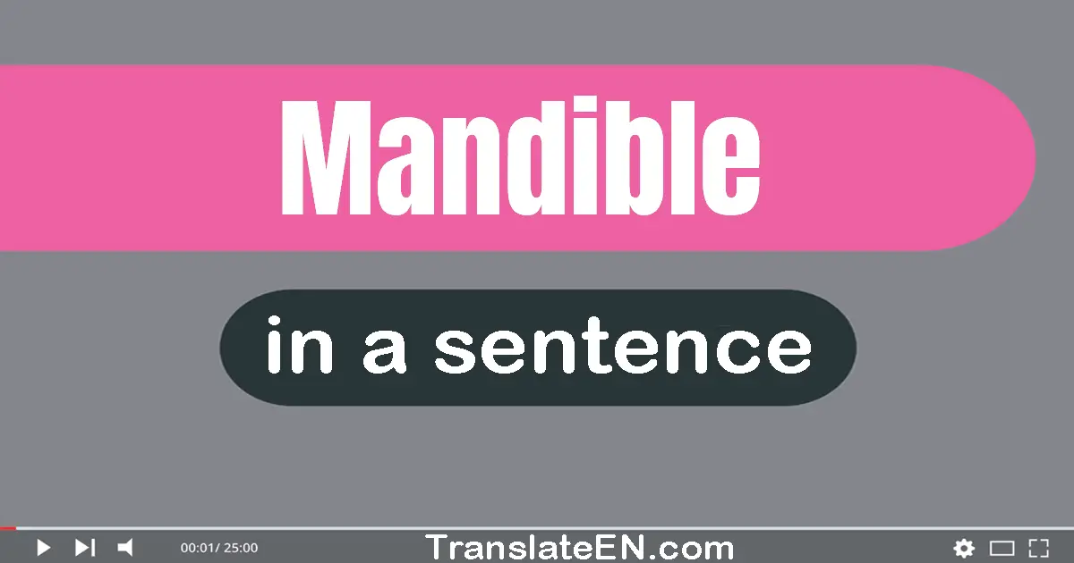 Mandible in a sentence