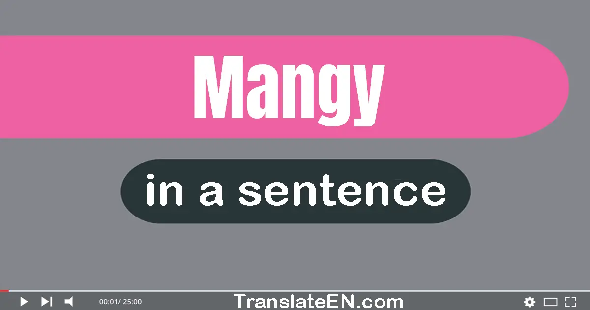 Mangy in a sentence