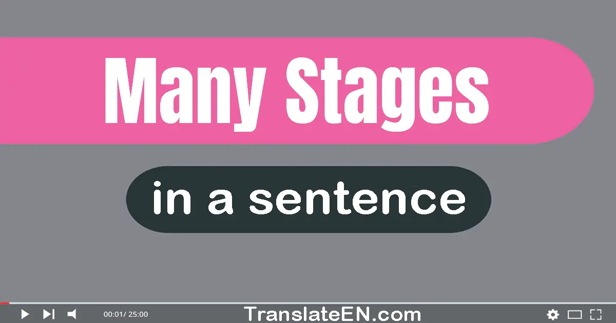 Many Stages in a sentence