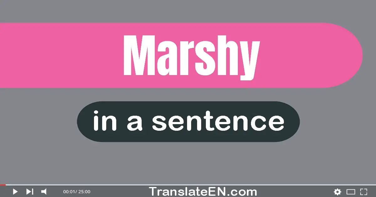 Marshy in a sentence