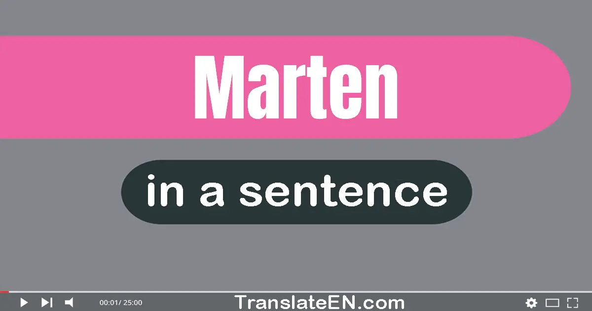 Marten in a sentence