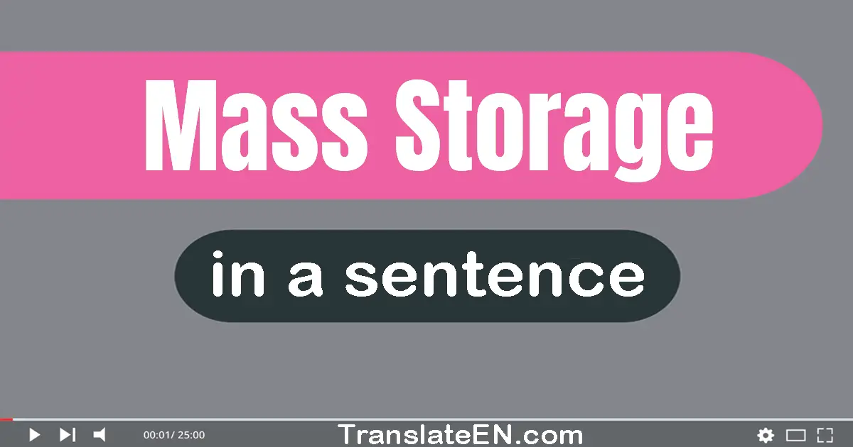 Mass Storage in a sentence