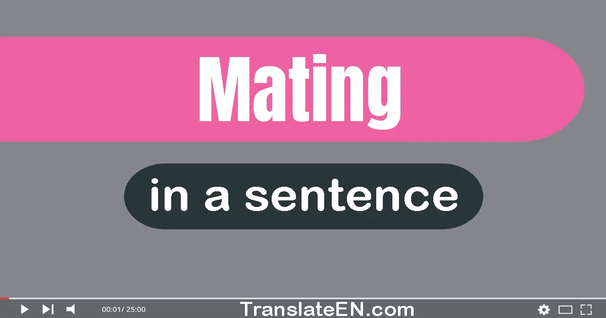 Mating in a sentence