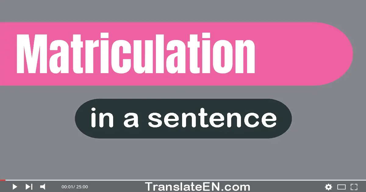 Use "matriculation" in a sentence | "matriculation" sentence examples