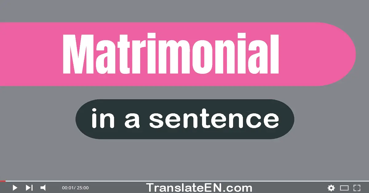 Use "matrimonial" in a sentence | "matrimonial" sentence examples