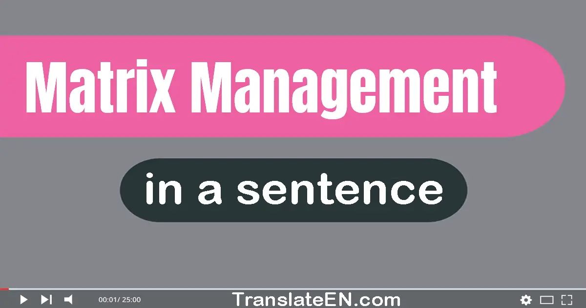 Use "matrix management" in a sentence | "matrix management" sentence examples