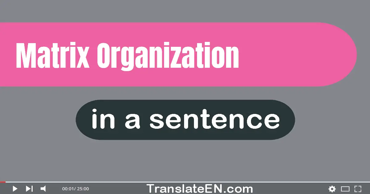 Use "matrix organization" in a sentence | "matrix organization" sentence examples