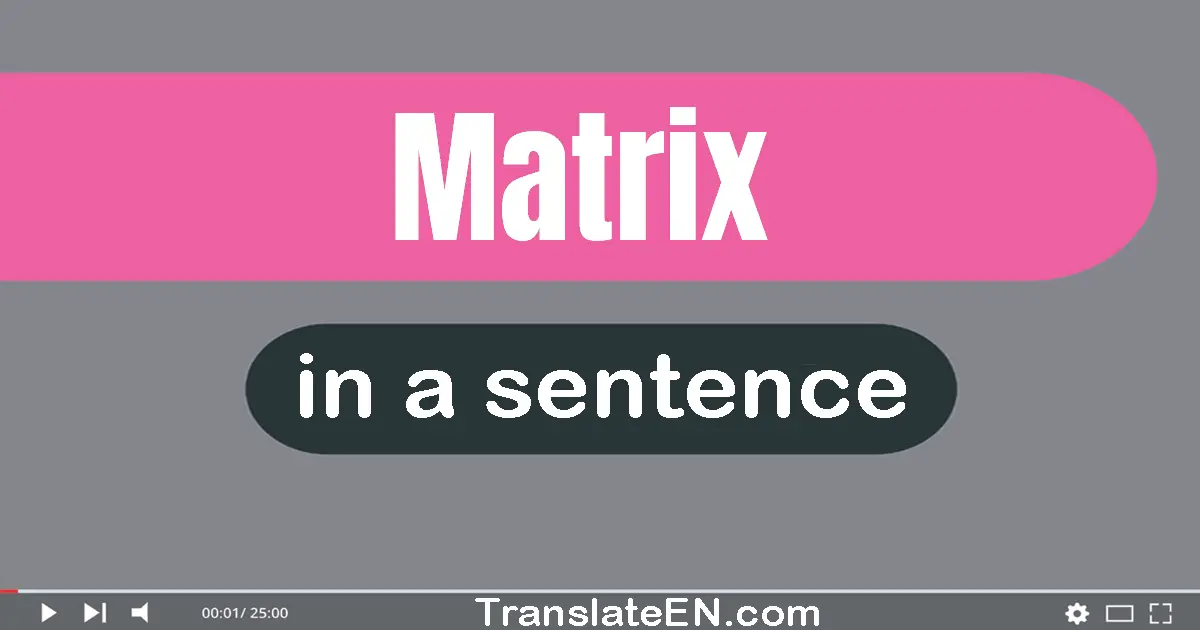 Use "matrix" in a sentence | "matrix" sentence examples