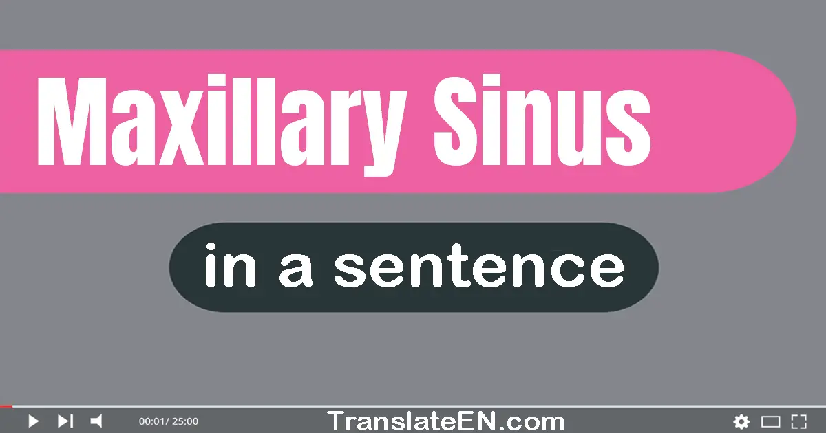 Maxillary Sinus in a sentence